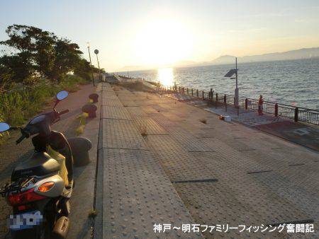 渋いなかでもまずまずかな