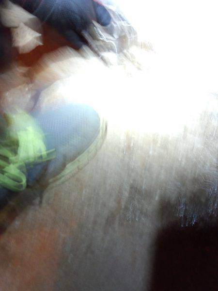 24日ぶりのタコ