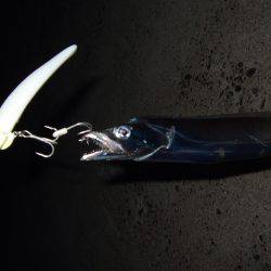 初ワインド初タチウオ＼(^o^)／