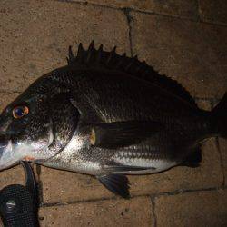 台風前に市街地で短時間チニング