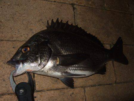台風前に市街地で短時間チニング
