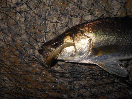 ショートバイトに苦戦…。