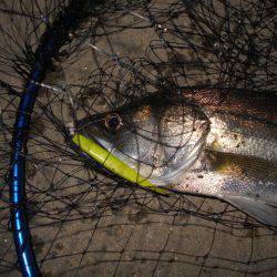 場所が狭かった…。