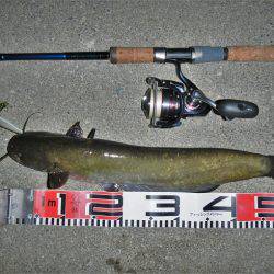 良い引きでした