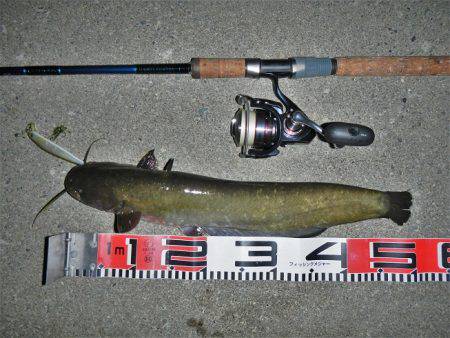 良い引きでした