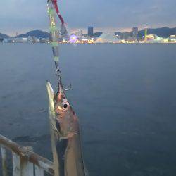 夏タチ爆釣!!
