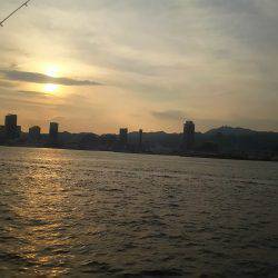 夏タチも帰省中？