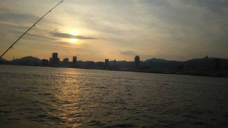 夏タチも帰省中？