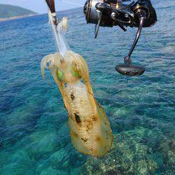 仕事終わりにエギング