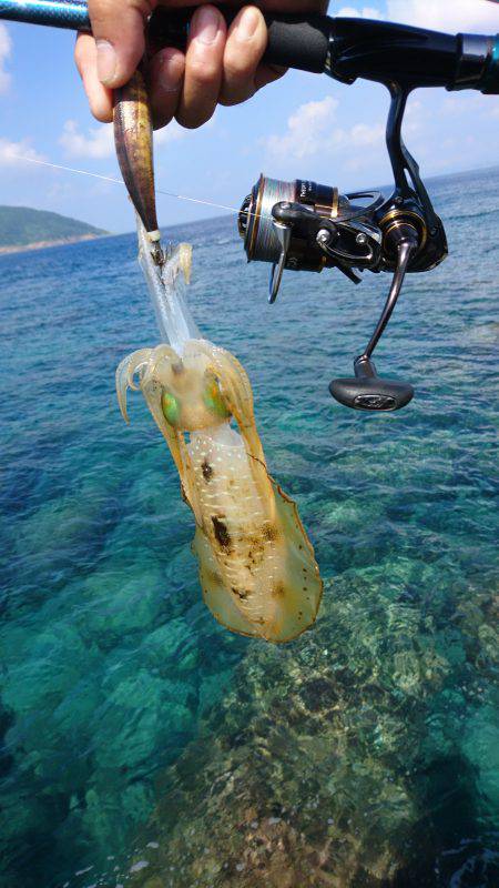 仕事終わりにエギング