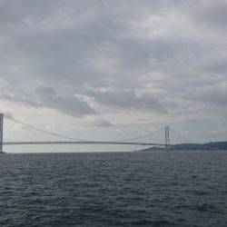 ハマチ！？ツバス！？