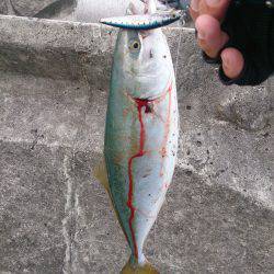 やっぱり景色がいいと思います！