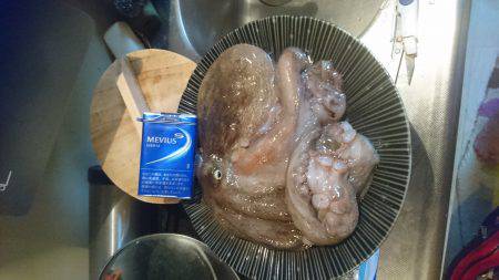 初たこチャレンジ