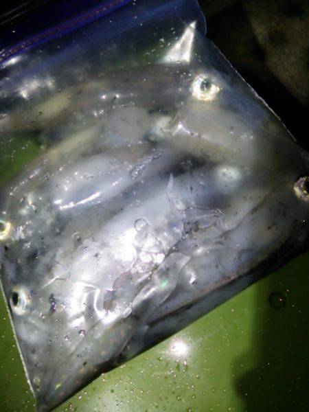 にゅーんとしたりグンっときたり