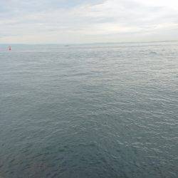 ショアジギング