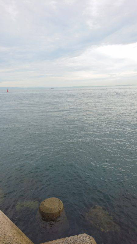 ショアジギング