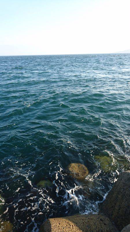 青物を求めて〜!!