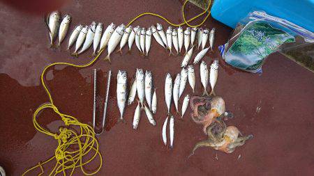 アジ タコ ジグサビキ