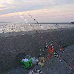 キス釣り、アジ釣り