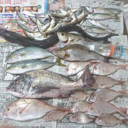 かご釣り&飲ませ釣り