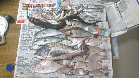 かご釣り&飲ませ釣り