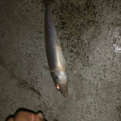 狙い通りだが…