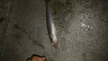 狙い通りだが…