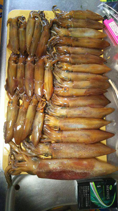 ライトエギング