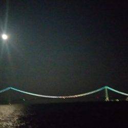 タコしか釣れない