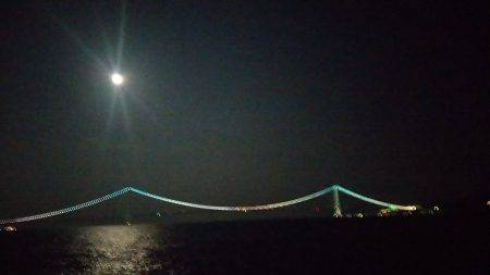 タコしか釣れない