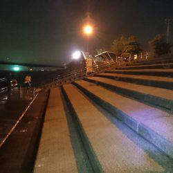 思わぬゲストが…