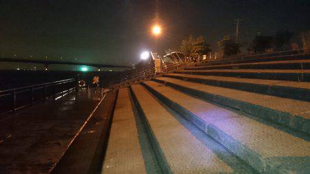 思わぬゲストが…