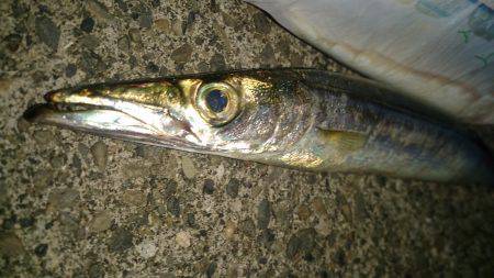 群れがガサガサ