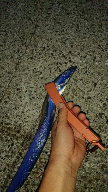 太刀魚のちデイアジング