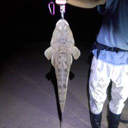 河芸　ナイトサーフ