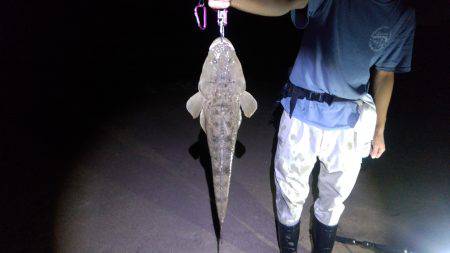 河芸　ナイトサーフ