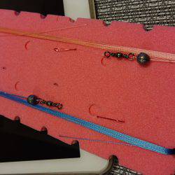 淀川ハゼ好調？