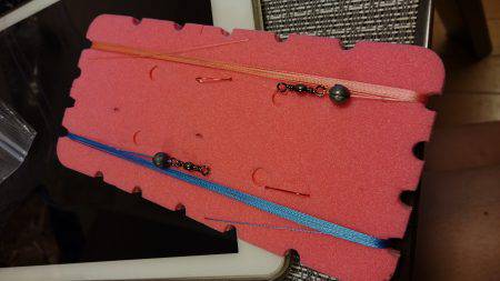 淀川ハゼ好調？