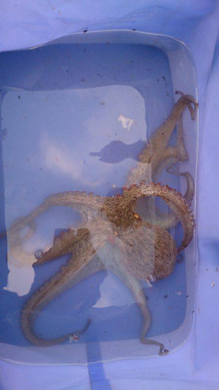 子供とファミリーフィッシング