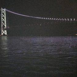 イカ数釣りを求めて