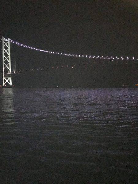 イカ数釣りを求めて