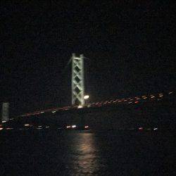 イカ数釣り求めて