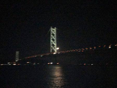 イカ数釣り求めて