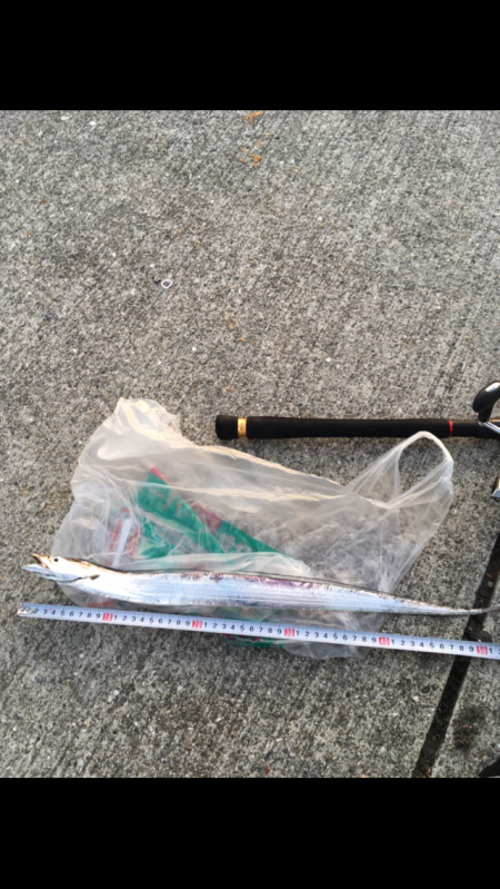 初、淡路島釣り早朝のみ太刀魚の反応あり