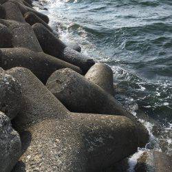 フカセ釣り、グレ&チヌ