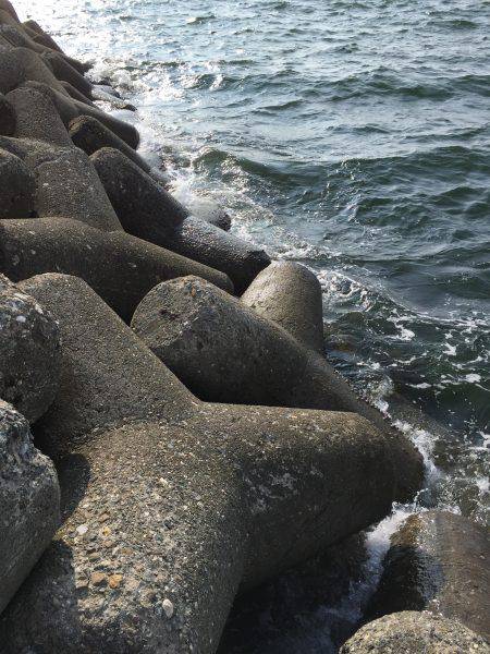 フカセ釣り、グレ&チヌ