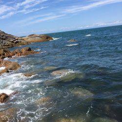 磯からのカゴ釣り