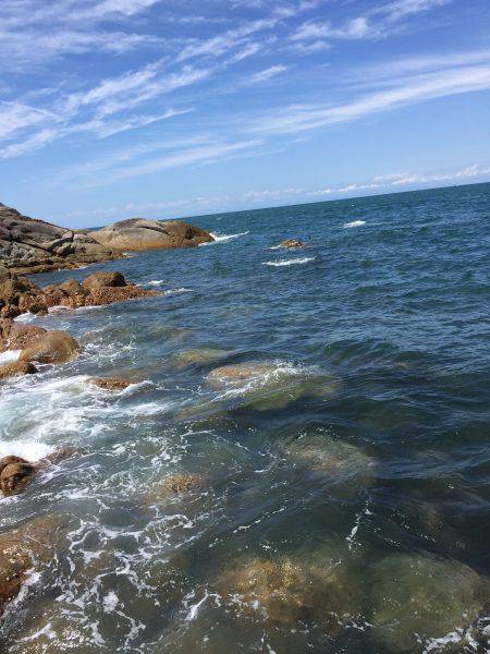 磯からのカゴ釣り
