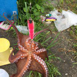 休日の早朝に♪