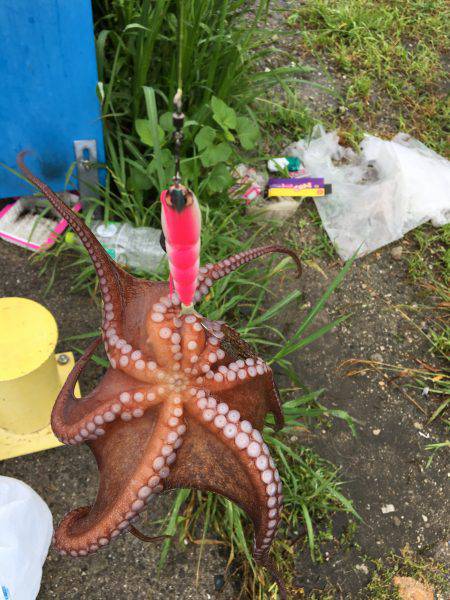 休日の早朝に♪